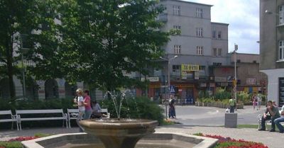 523 nowe drzewa dla Rybnika. Nasadzenia zastępcze po wycince